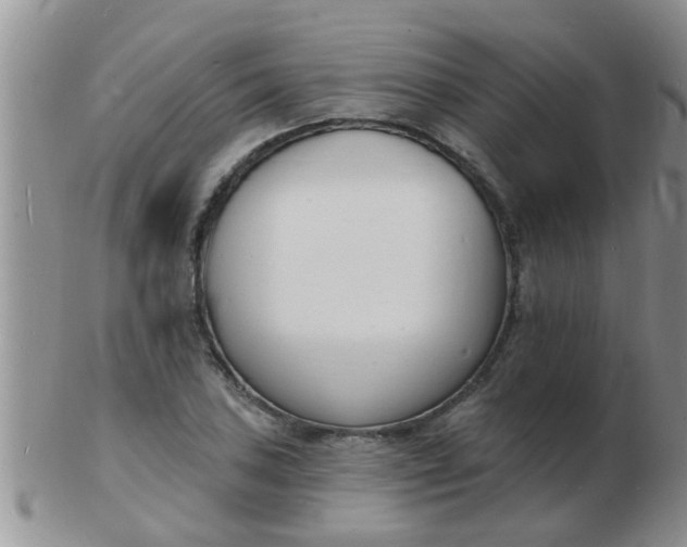 X0000103301027200809122025