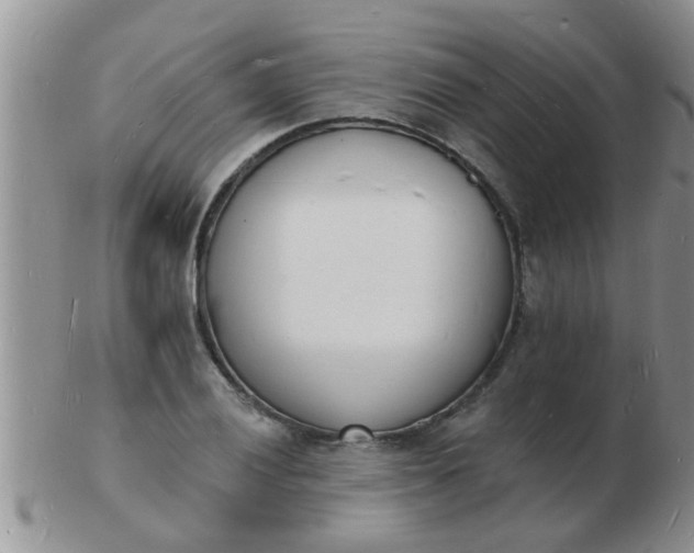 X0000103301028200809122025