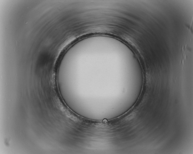 X0000103301029200809122025