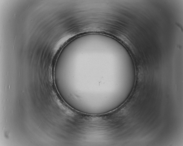 X0000103301030200809122025