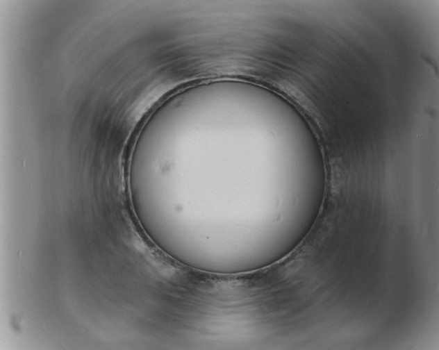 X0000103301031200809122025