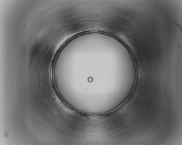 X0000103301032200809122025