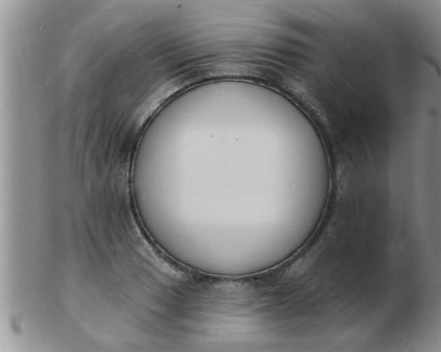 X0000103301033200809122025