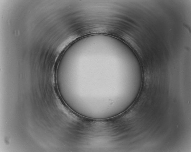 X0000103301034200809122025