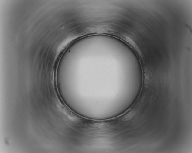 X0000103301035200809122025