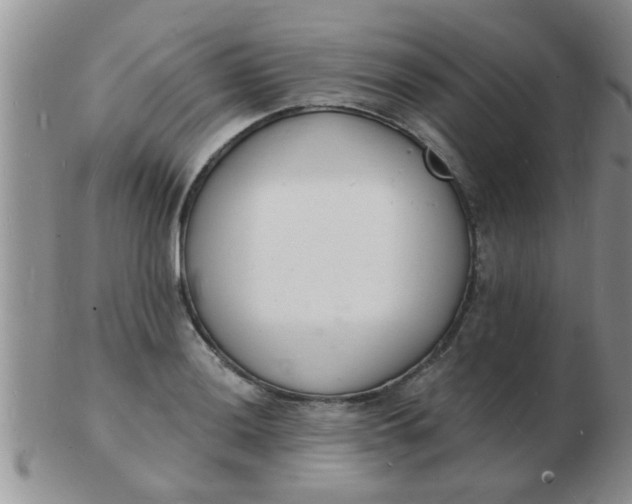 X0000103301036200809122025