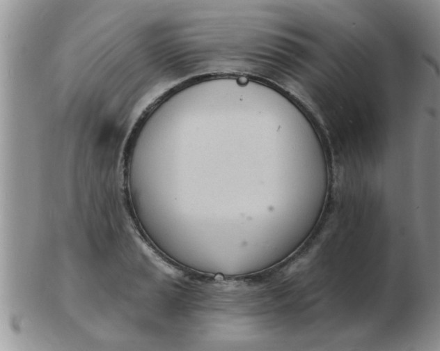 X0000103301037200809122025