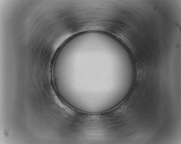 X0000103301038200809122025