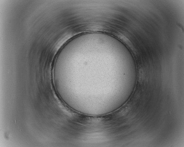 X0000103301039200809122025