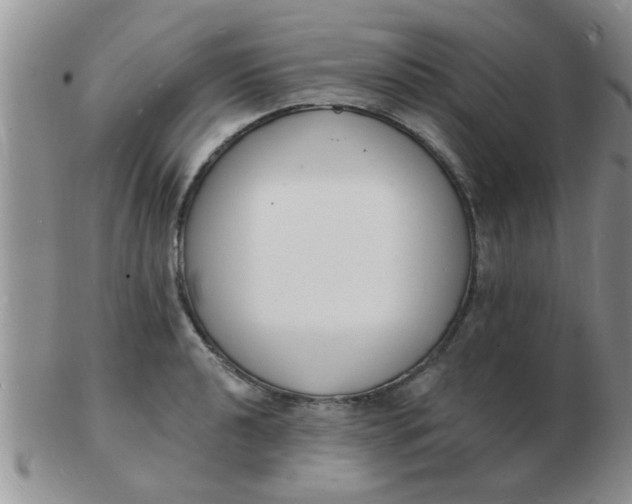 X0000103301040200809122025