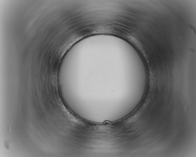 X0000103301041200809122025