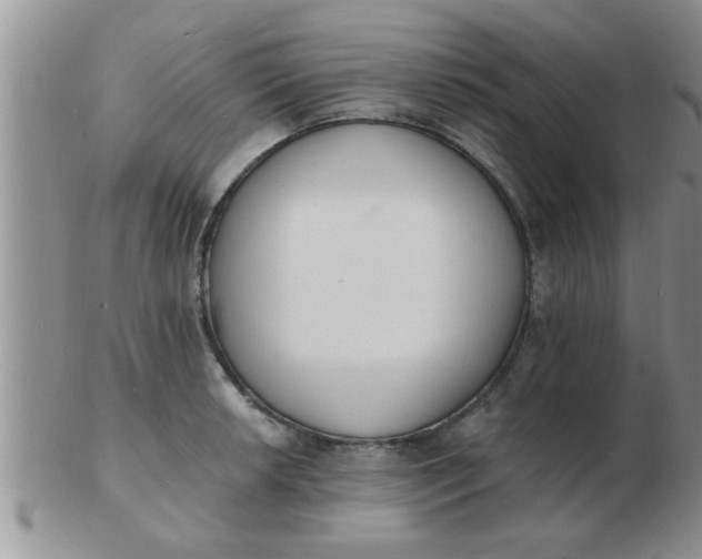 X0000103301042200809122025