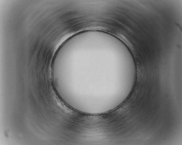 X0000103301044200809122025