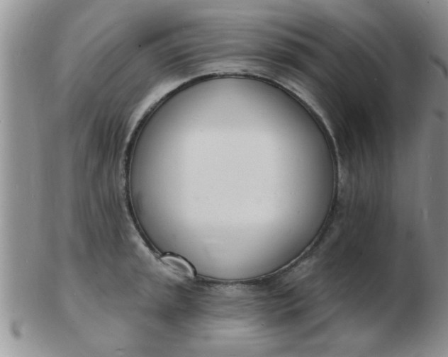 X0000103301045200809122025