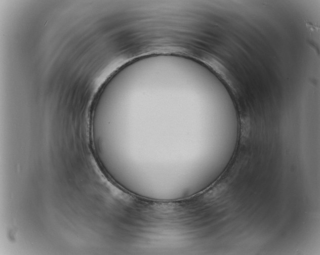 X0000103301046200809122025