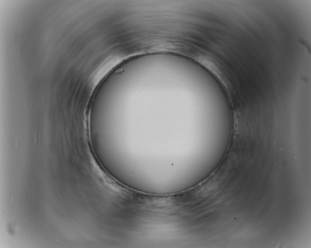 X0000103301047200809122025