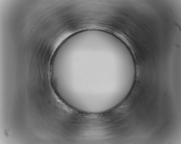 X0000103301048200809122025