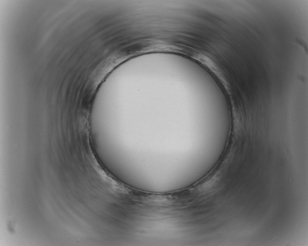 X0000103301049200809122025