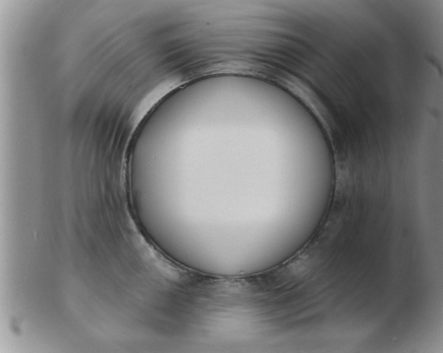 X0000103301050200809122025