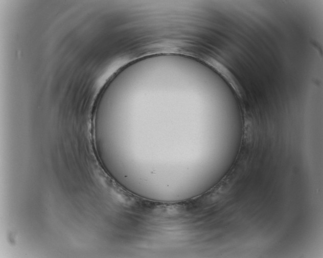 X0000103301051200809122025