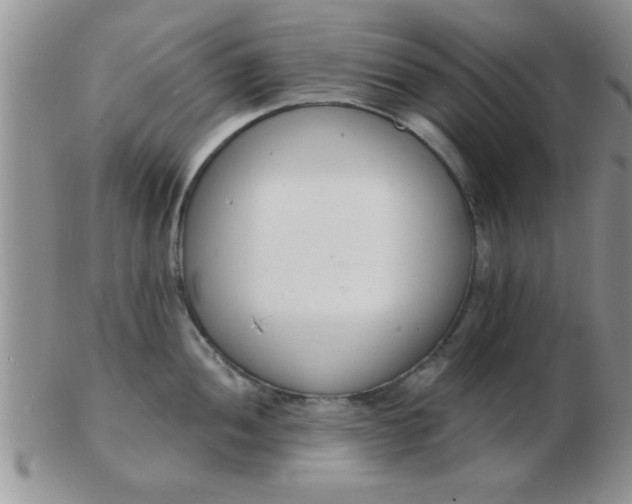 X0000103301052200809122025