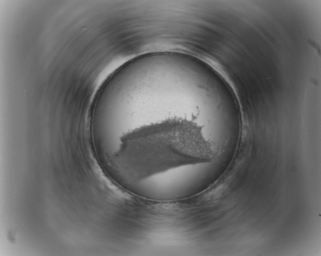 X0000103301053200809122025