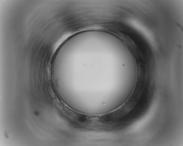 X0000103301054200809122025