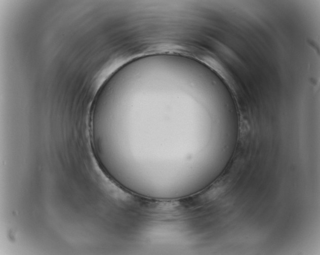 X0000103301055200809122025