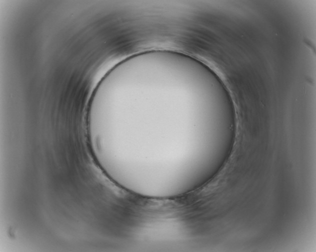 X0000103301056200809122025