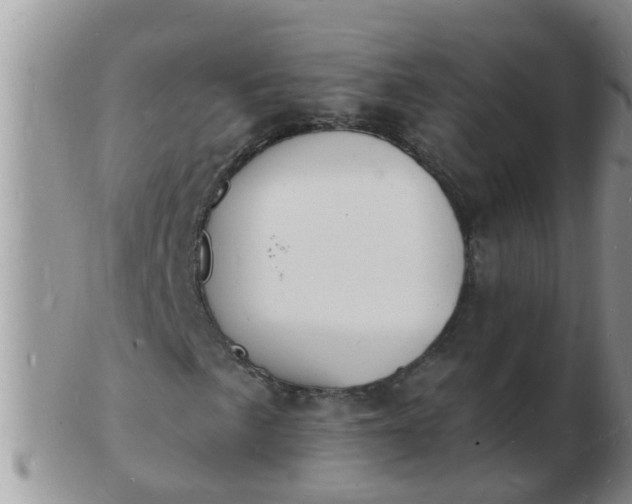 X0000103301057200809122025