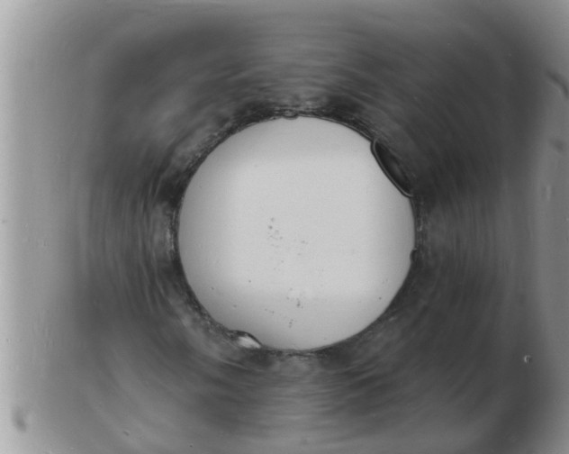 X0000103301058200809122025