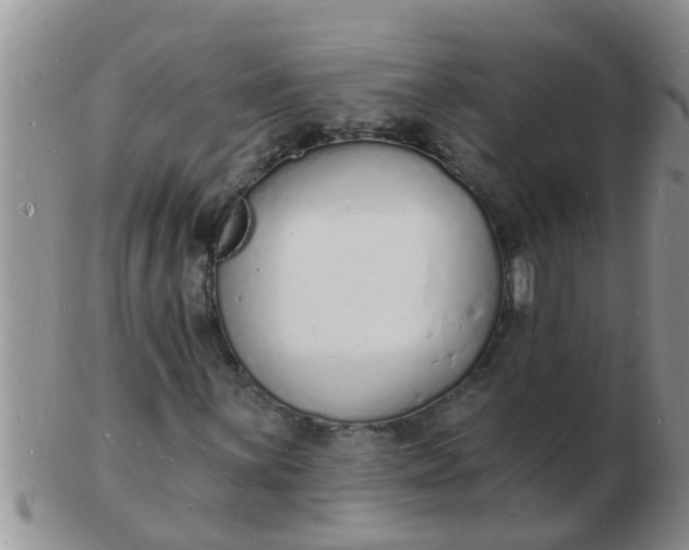 X0000103301059200809122025