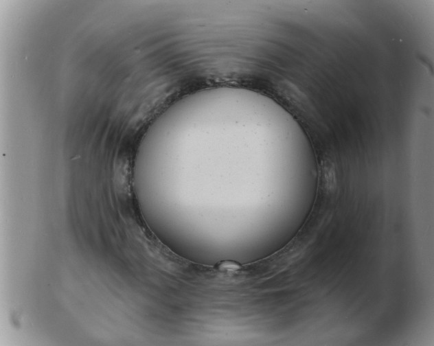 X0000103301060200809122025