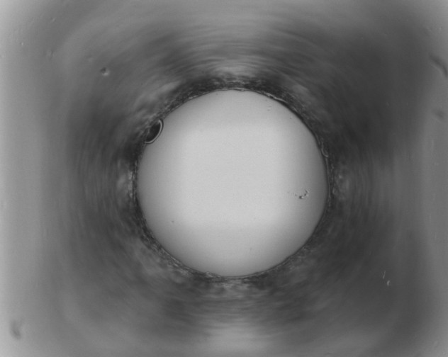 X0000103301061200809122025