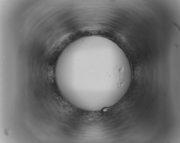 X0000103301062200809122025