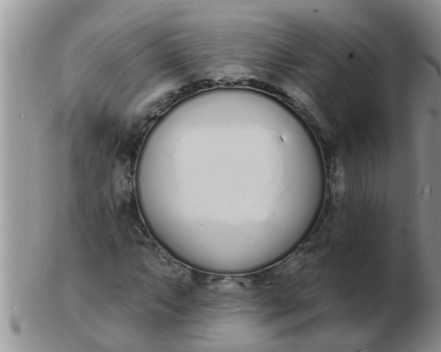 X0000103301063200809122025