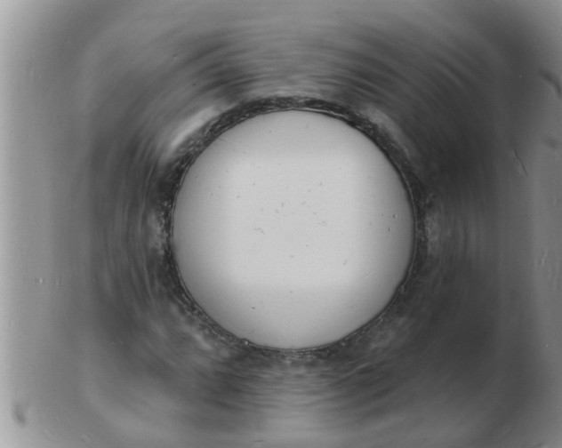 X0000103301064200809122025