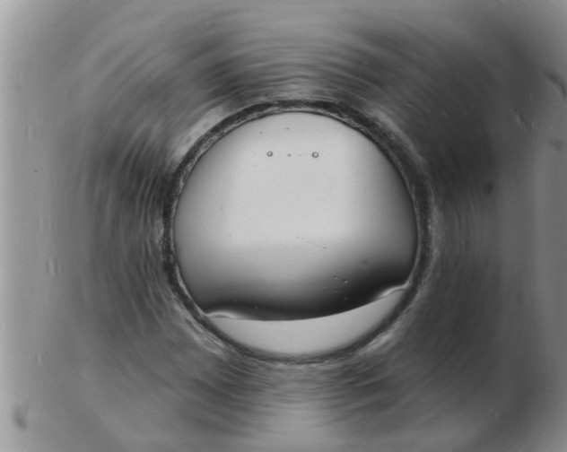 X0000103301065200809122025