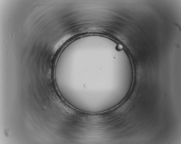 X0000103301066200809122025