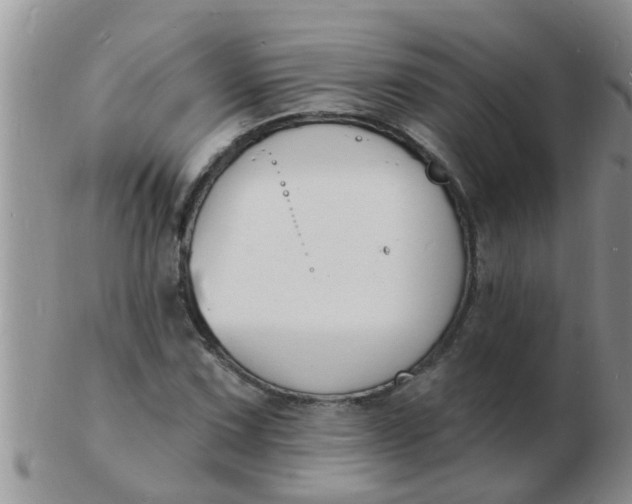 X0000103301067200809122025