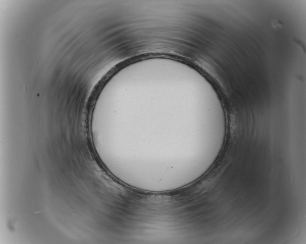 X0000103301068200809122024