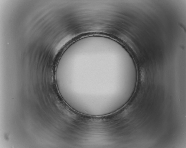 X0000103301069200809122024