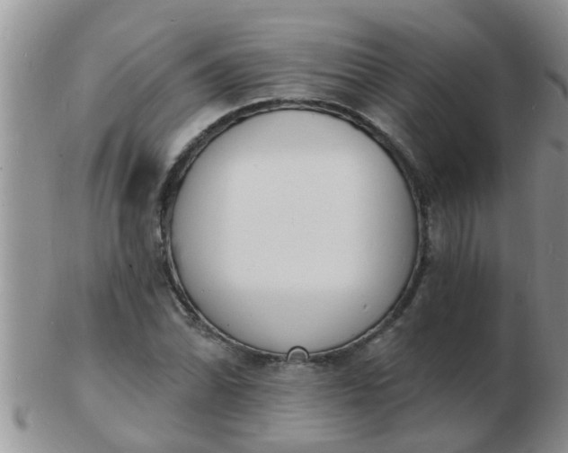 X0000103301070200809122024