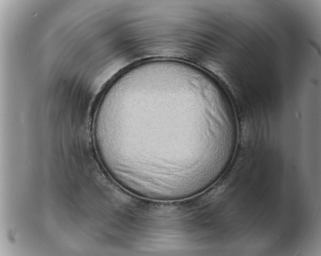 X0000103301071200809122024