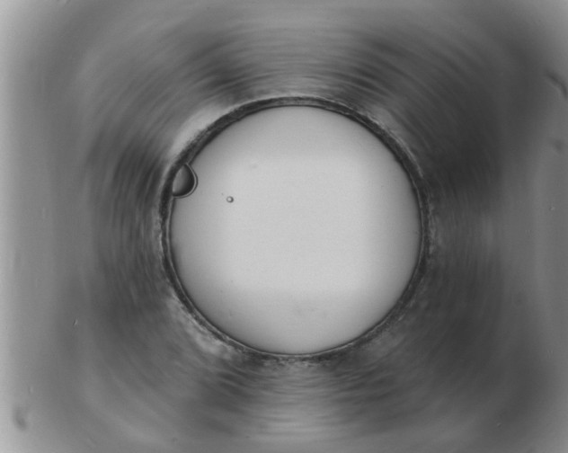 X0000103301072200809122024