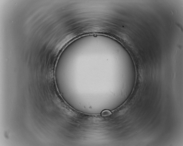 X0000103301073200809122024