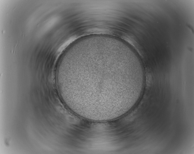 X0000103301074200809122024