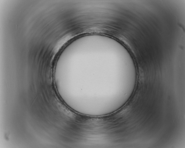 X0000103301075200809122024