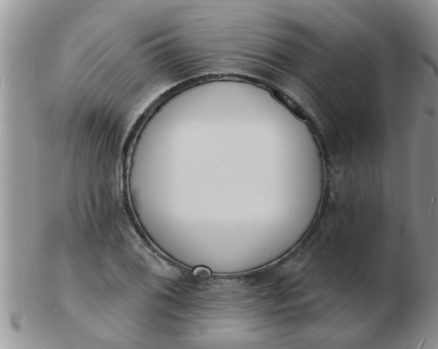 X0000103301076200809122024