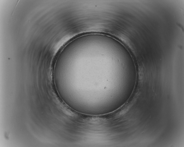 X0000103301077200809122024